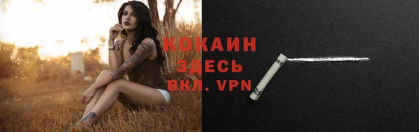 дмт Корсаков